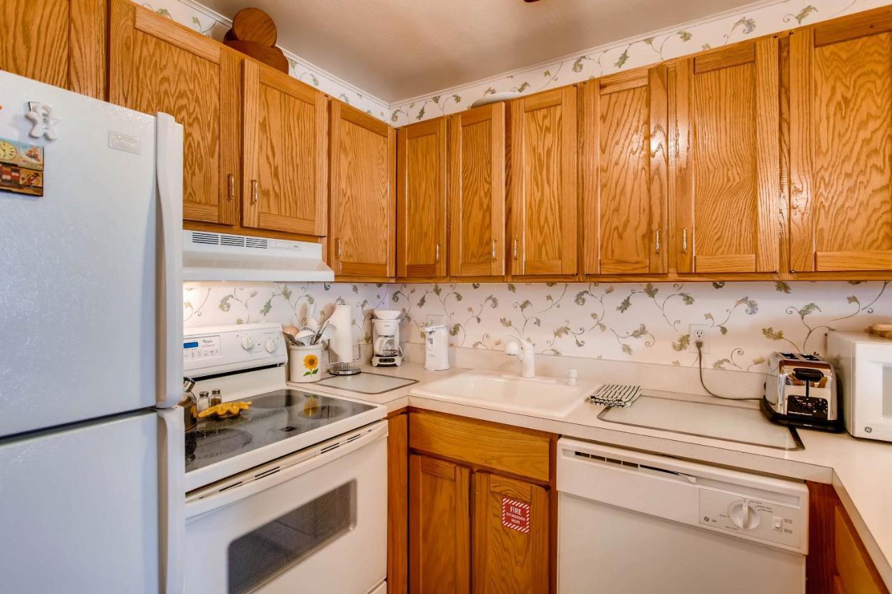 Ski-In Ski-Out Studio Private Balcony & Fireplace Condo Crested Butte Buitenkant foto